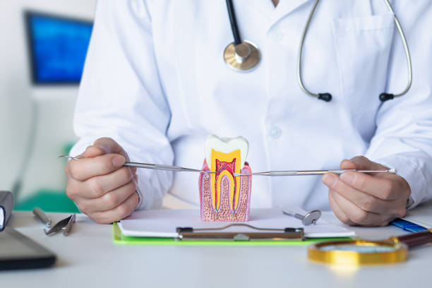 Best Emergency Dental Care for Broken or Chipped Teeth in Town And Country, MO